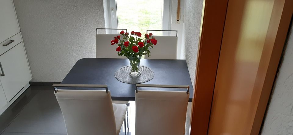 4 Stühle Stuhl Set Schwinger weiß komplett 20,-€ in Neuenkirchen bei Greifswald