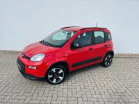Fiat Panda 1.0 Hybrid City Life+Parksensoren Baden-Württemberg - Kehl Vorschau