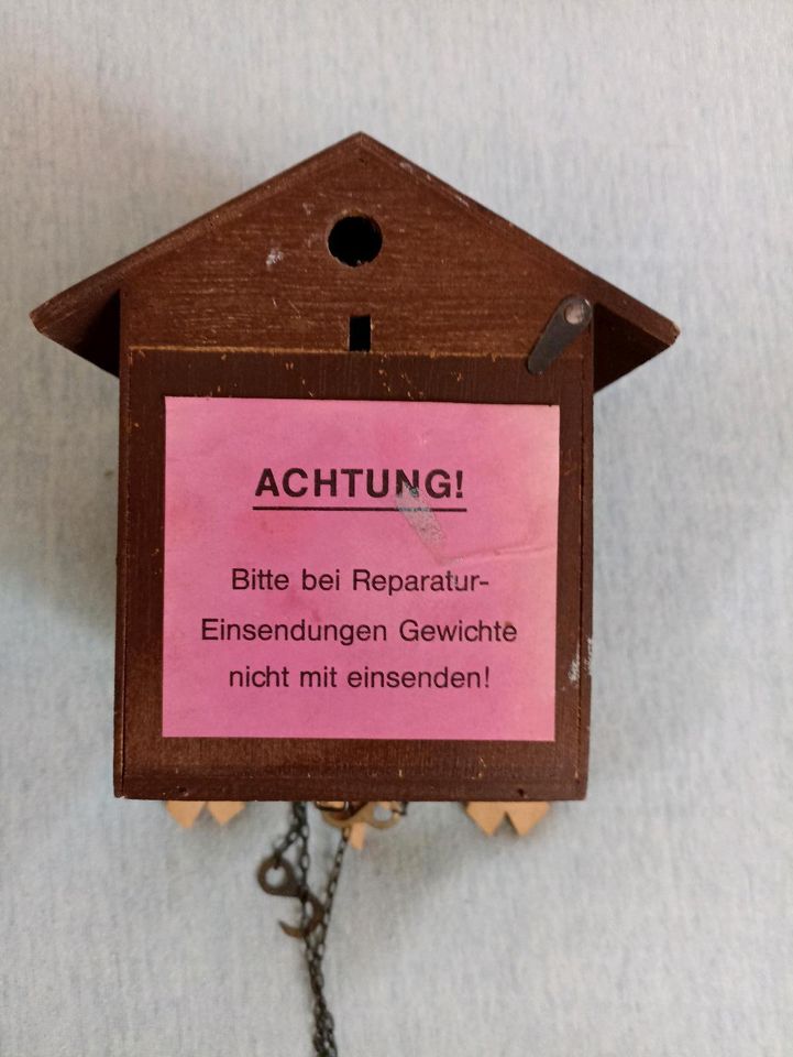 Kleine Kuckucksuhr/Schwarzwald in Stralsund