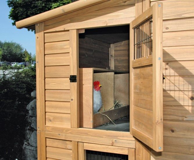 Hühnerhaus grosser Hühnerstall Hühnergehege Stall für Hühner in Neumünster