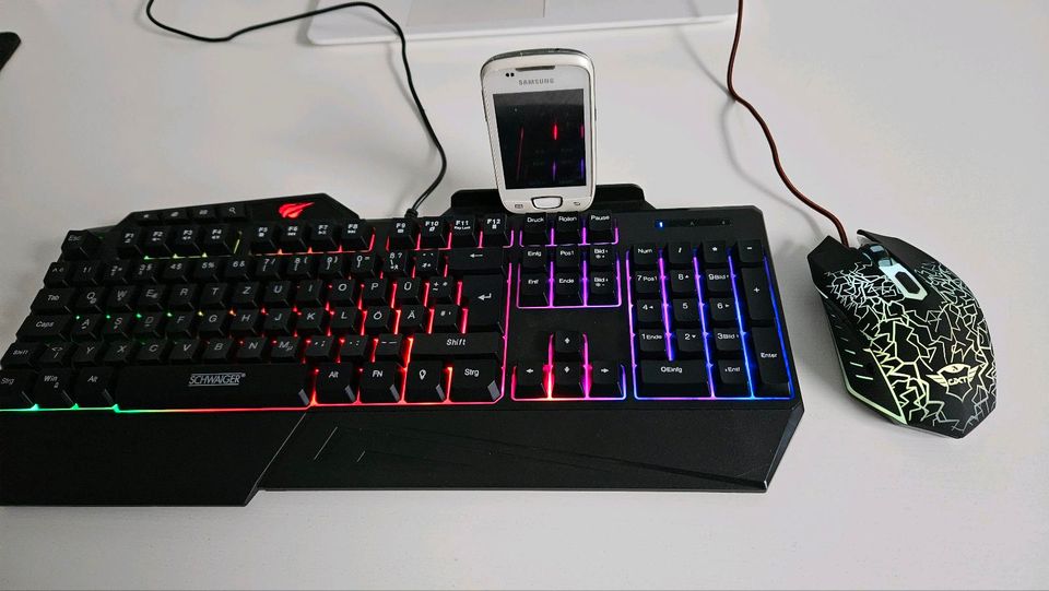 NEU Gaming Tastatur HAVIT MAGIC EAGLE & SCHWAIGER & zwei × Maus in Duisburg  - Walsum | Tastatur & Maus gebraucht kaufen | eBay Kleinanzeigen ist jetzt  Kleinanzeigen