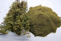 Griechische bio aromatische Berg Oregano. Rheinland-Pfalz - Budenheim Vorschau