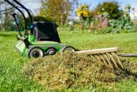 Gartenpflege Gartenarbeit Baumschnitt Heckenschnitt Rasen Laub Brandenburg - Rauen Vorschau