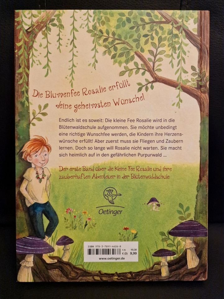 Buch Die Feenschule Zauber im Purpurwald Kinderbuch Mädchen in Karlskron