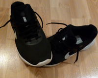 Turnschuhe NIKE RUNNING Größe EUR 40 Brandenburg - Brandenburg an der Havel Vorschau