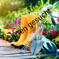 Garten gesucht Rheinland-Pfalz - Alzey Vorschau