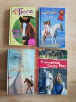 Bücher-Set Pferde Kinderbücher Jugendbücher Mädchen Hessen - Waldeck Vorschau
