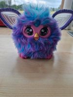 Furby von Dez.2023 Nordrhein-Westfalen - Hopsten Vorschau