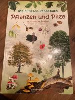 Riesen-Buch Pflanzen und Pilze Bayern - Scheinfeld Vorschau