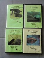 DVDs Biologie Geburt eines Kälbchens Flöhe Silberfischchen Bayern - Oberthulba Vorschau