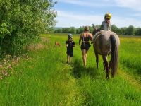 Pferdezeit für Kinder/ Reitunterricht/ Reiten/ Ausritt Bayern - Frensdorf Vorschau