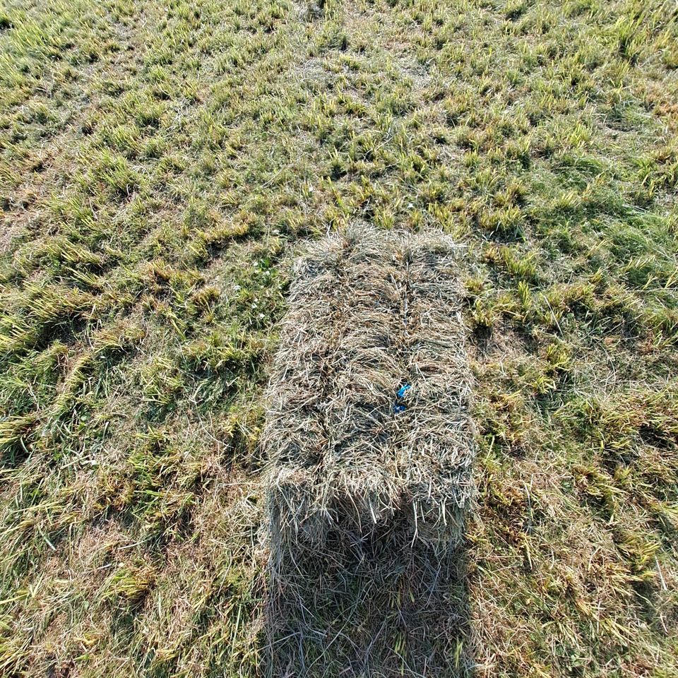 Heuballen ,  HD Ballen  2.Schnitt Kleinballen in Abstatt