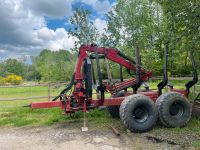 Rückewagen Eigenbau Rheinland-Pfalz - Kell am See Vorschau