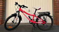 Kellys Lumi 50 Kinderfahrrad 20 Zoll Rheinland-Pfalz - Mainz Vorschau