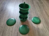 3 grüne Kräutertöpfe aus Plastik mit Deckel / Kräuterregal Sachsen - Tannenberg Vorschau