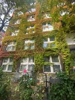 2  Room apartment at Potsdamer Platz for rent Friedrichshain-Kreuzberg - Kreuzberg Vorschau