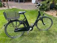 Gazelle, E-Bike, 28 Zoll, Impulsmotor Nordrhein-Westfalen - Ostbevern Vorschau