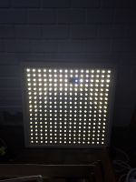 Anzuchtlampen Pflanzen-Lampen, 2× 288 LEDs Lindenthal - Köln Sülz Vorschau