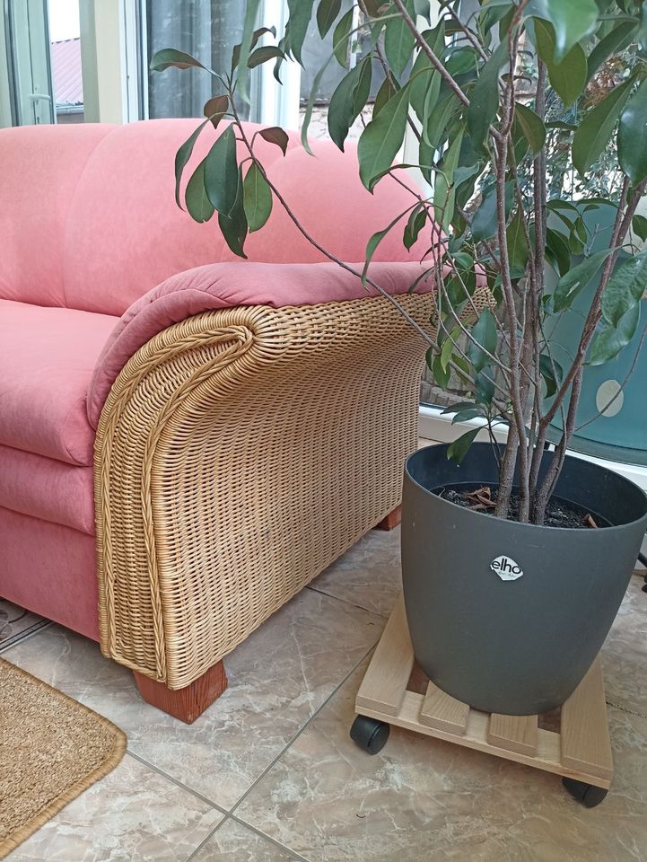 Sofa, 2-Sitzer, Korb, Terrakotta in Colditz