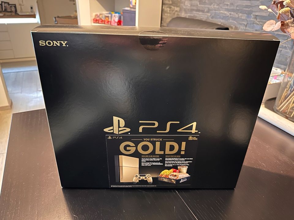 Playstation 4 Konsolen Sammlung in Waiblingen