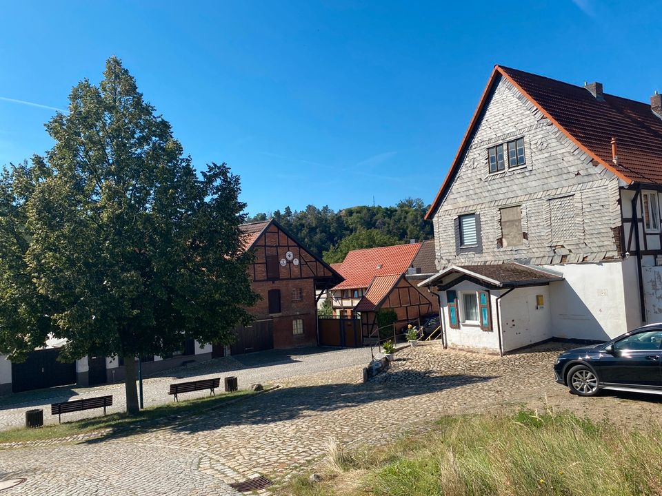 Baugrundstück Langenstein/Harz in Halberstadt