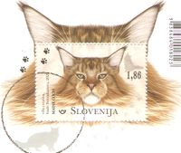Slowenien Block 126 ° Fauna Tiere - Hauskatzen - Main Coon Cat Nordrhein-Westfalen - Kamen Vorschau