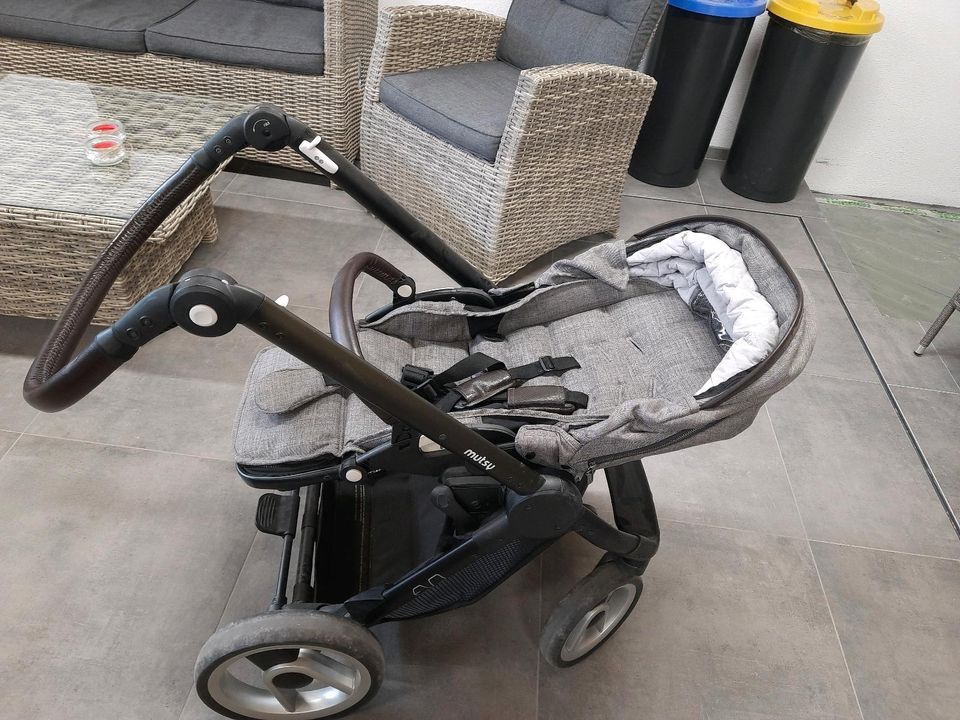 Mutsy Evo Kinderwagen in Hüttingen bei Lahr