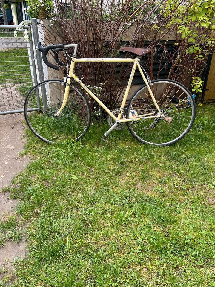 RALEIGH Triathlon Rennrad – Retro Vintage 80s (RH60) in München