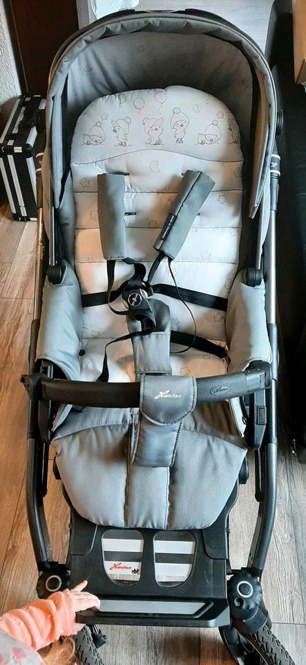 Kombi Kinderwagen Hartan Racer GTS 408 taupe tweety 21 in Calden