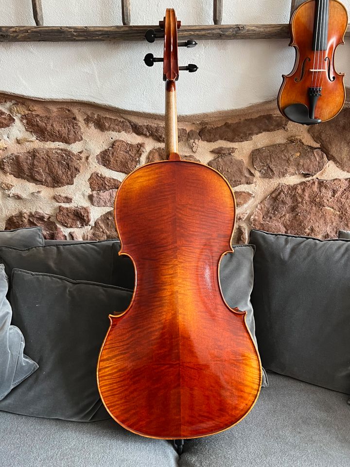 4/4 Cello Set geflammt, perfekt eingerichtet, schöner Klang - NEU in Freiburg im Breisgau