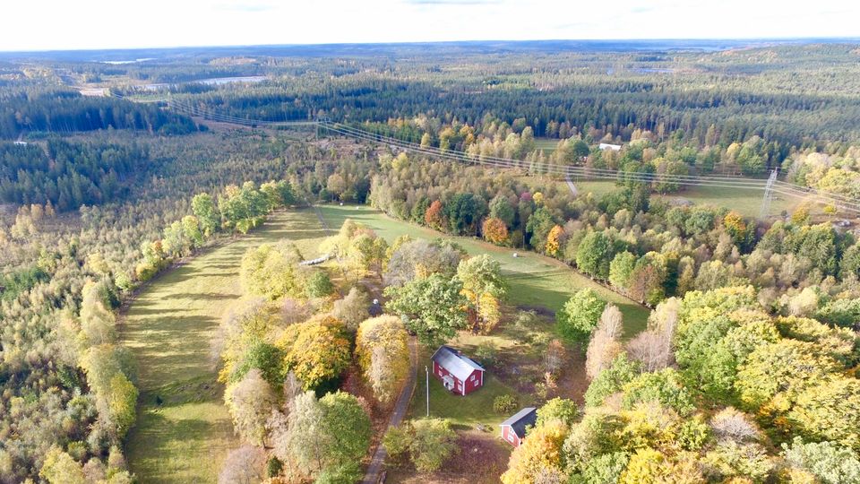 Schweden, Småland Farm mit Weide und Wald 42ha auch teilbar! in Ochsenfurt