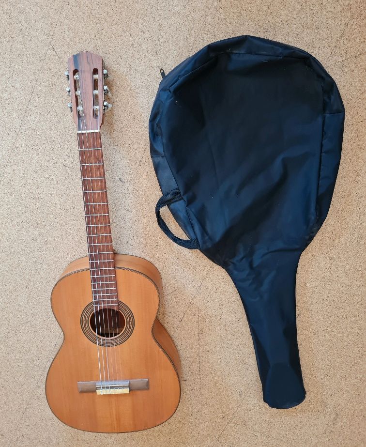 Gitarre mit Tasche in Hofheim am Taunus