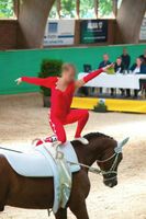 Einzelvoltigiertrikot/ Voltigieranzug zu verkaufen! Bayern - Buchloe Vorschau