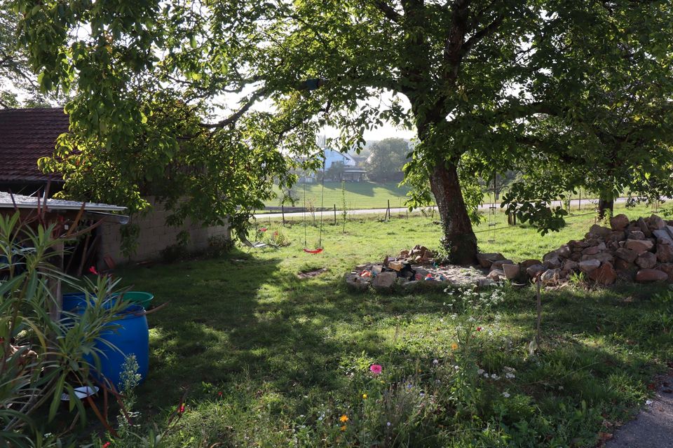 Bauern-Hof viel Platz f. Wohnprojekt Mehrgenerationen Tierhaltung in Laufenburg (Baden)