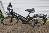E-Bike Bergamont E-Line C MGN Nyon 500 Modell 2015 Niedersachsen - Hameln Vorschau