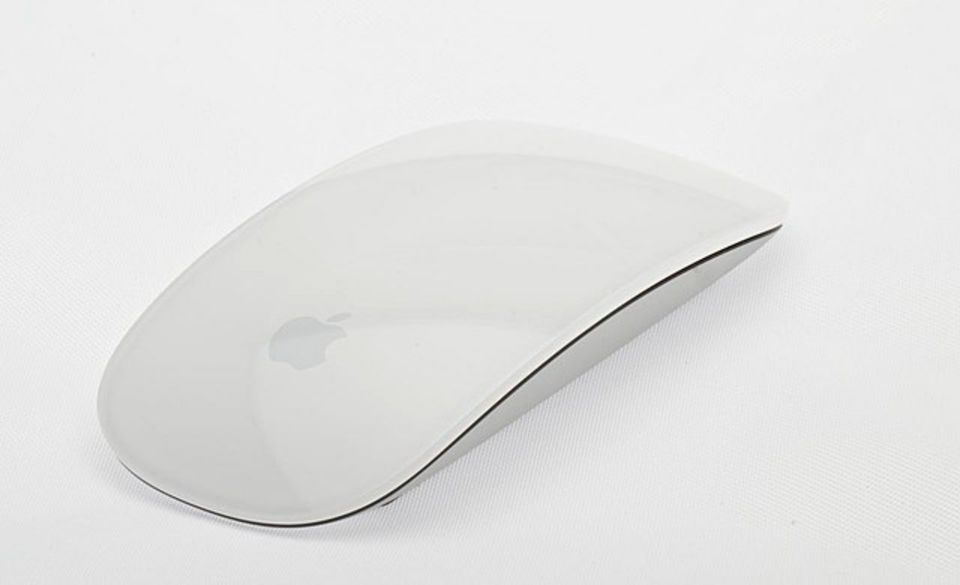 Apple Magic Mouse in Struppen