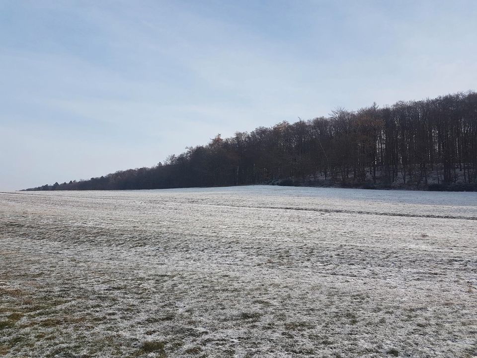 Schönes Wiesengrundstück im Rheingau-Taunus-Kreis in Idstein