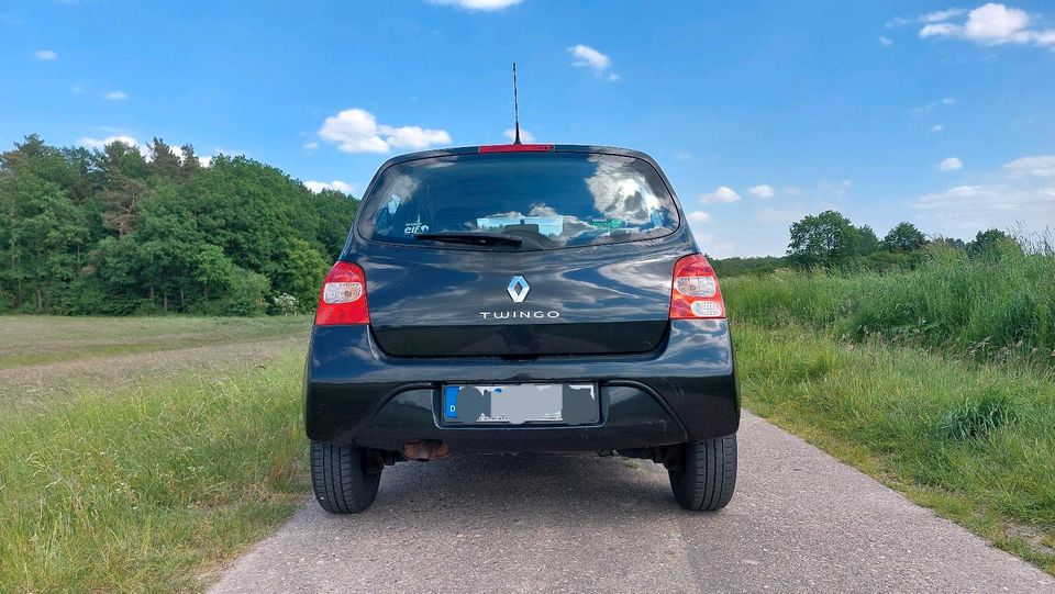 Renault Twingo Tüv neu / Faltdach in Egestorf