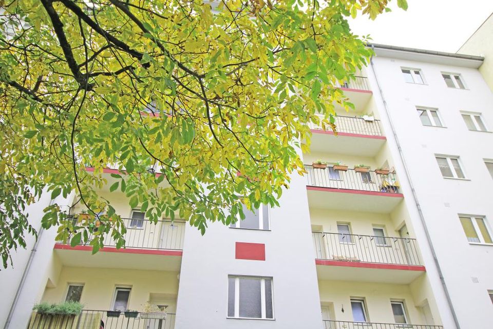 Cosy 1-Zimmer Apartment mit Aufzug, Balkon und PKW-Stellplatz in Berlin