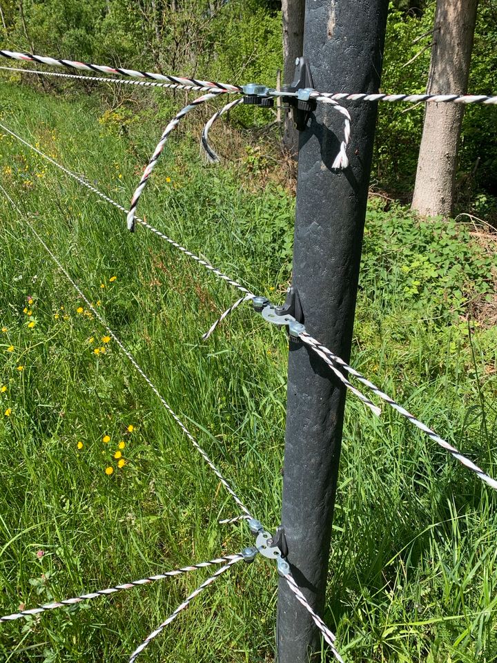 Offenstall - Pferdestall mit Weiden zu verpachten in Mainhardt