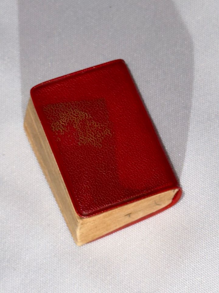 Langenscheidt Lilliput Dictionary Wörterbuch Mini Format Buch in Berlin