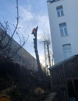 Baumfällung & Gartenarbeit Nordrhein-Westfalen - Solingen Vorschau