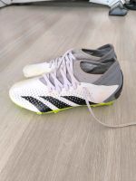 Adidas Predator Fußballschuhe Jungen Größe 38 Stuttgart - Bad Cannstatt Vorschau