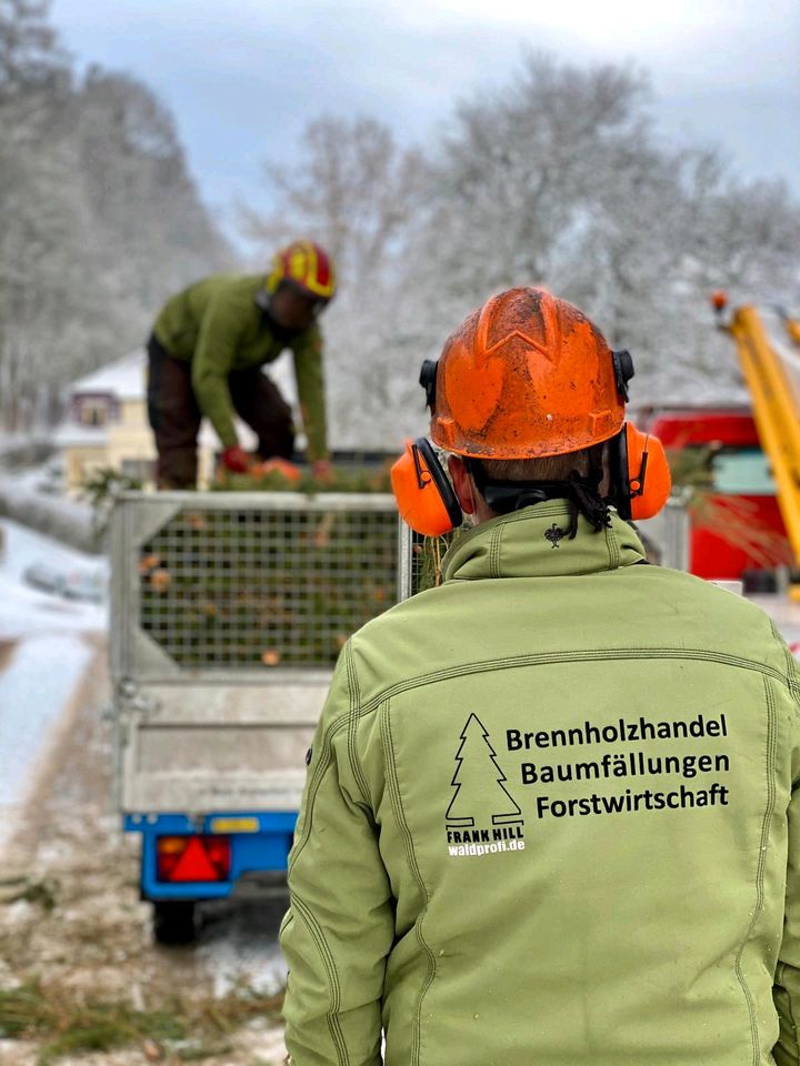 Holztransport | forstliche Dienstleistungen | Holzrückung in Suhl