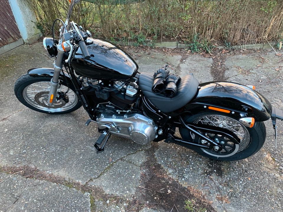 Harley Davidson Softail Standard in Köln