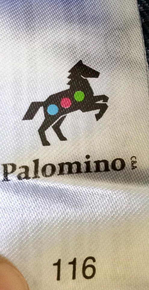 Palomino Jeans Shorts 116 und T-Shirt 116/122 in Mönchengladbach