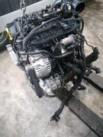 Motor   CJX  2.0TFSI 300ps 19tkm  Golf Cupra Berlin - Spandau Vorschau