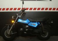 SKYTEAM T-REX 125 CLUB-INJ. E5 METALLIC-BLUE -AUSLAUFMODELL- Bayern - Mindelheim Vorschau