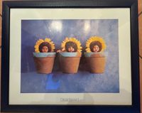 Anne Geddes Bild Sonnenblumen Sunflowers blau Köln - Weidenpesch Vorschau