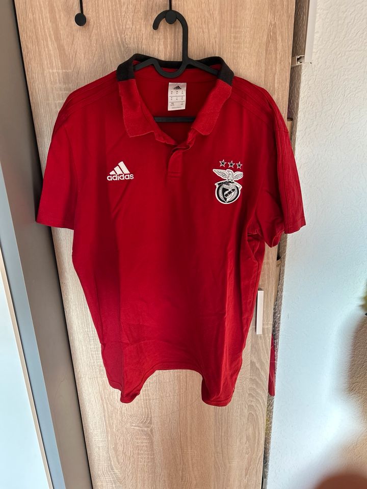 Benfica Lissabon T-Shirt in XL ( Rot) in Köln
